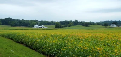 Parke County - Photo 4