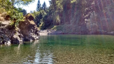 Leggett - Photo 5