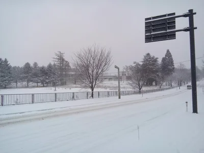 Takizawa - Photo 4