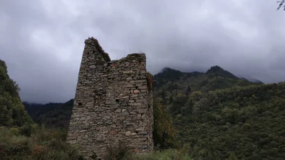 Li - Photo 5