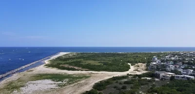 Barnegat Light - Photo 2