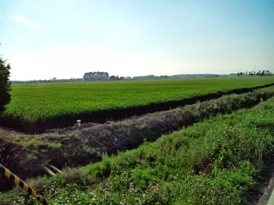Nanporo - Photo 2