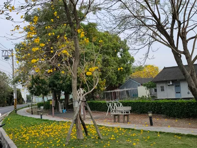 Puxin Township - Photo 2
