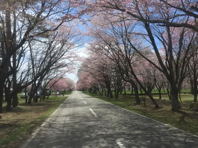 Urakawa - Photo 5