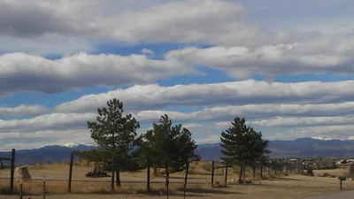 Lone Tree - Photo 2