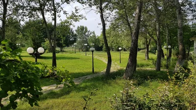 Yengicə - Photo 2