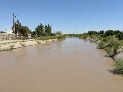 Qorako'l - Photo 4