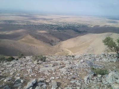 Sazog'on - Photo 2