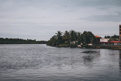 Tutong - Photo 5