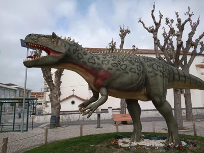 Lourinhã - Photo 3