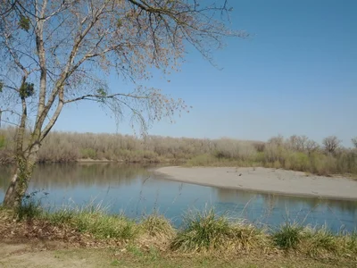 Colusa County - Photo 4