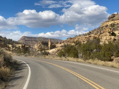 Mesa County - Photo 4