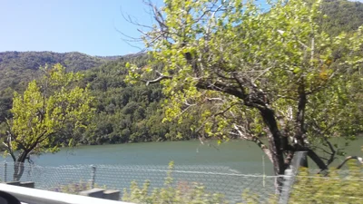 Upper Lake - Photo 3