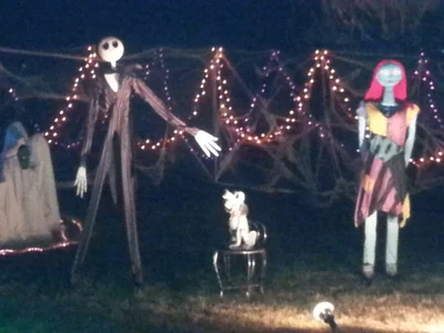 Effingham County - Photo 2