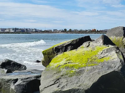 Sea Isle City - Photo 5