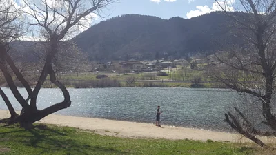 Palmer Lake - Photo 2