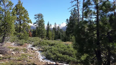 El Dorado County - Photo 3