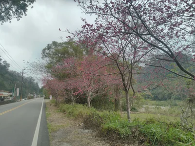 Gongguan - Photo 2