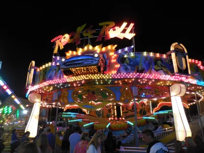 Wildwood - Photo 3