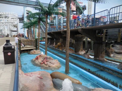 Wildwood - Photo 4