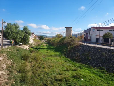 Ayora - Photo 3