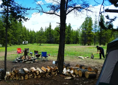 Tincup - Photo 5
