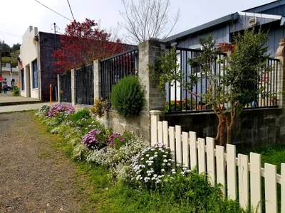 Geyserville - Photo 3