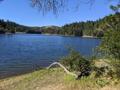 Alpine County - Photo 4