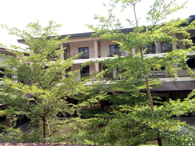 Sison - Photo 2