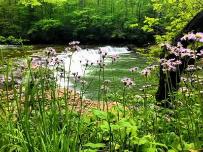 Webster County - Photo 2