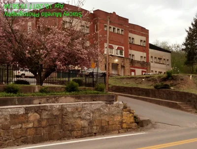 Webster County - Photo 4