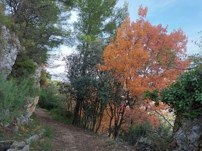 Confrides - Photo 4