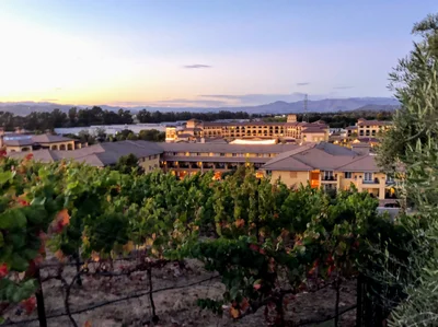 Napa County - Photo 4