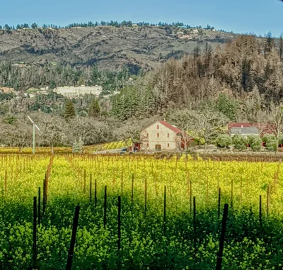 Napa County - Photo 5