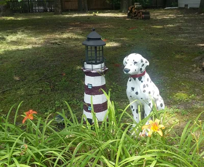 Millsboro - Photo 4