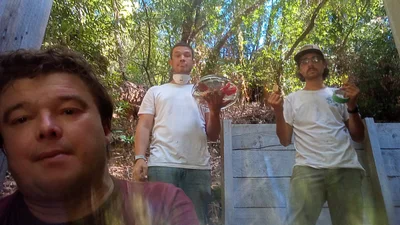 Forestville - Photo 4
