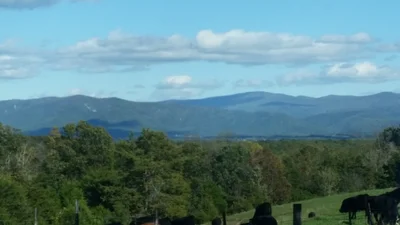 Rockingham County - Photo 2