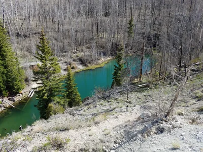 Wayne County - Photo 2