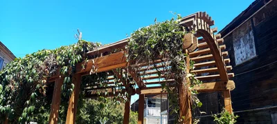 Walnut Grove - Photo 5