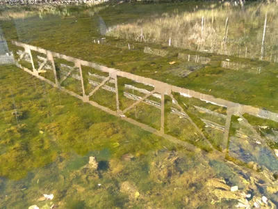 Harrison County - Photo 2