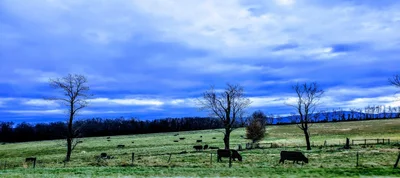 Augusta County - Photo 5