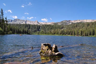 Mono County - Photo 4