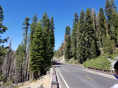 Tuolumne - Photo 2
