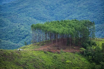 Ukhrul - Photo 4