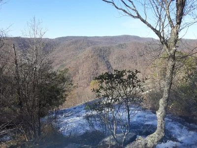 Nelson County - Photo 4