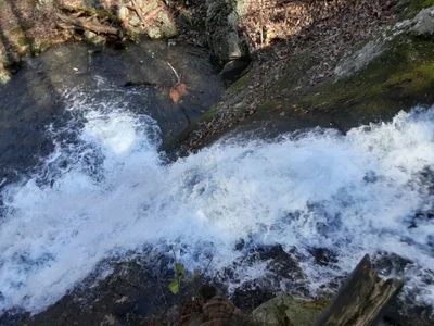 Nelson County - Photo 5