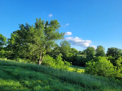 Ste. Genevieve County - Photo 3