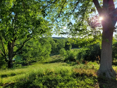 Ste. Genevieve County - Photo 4