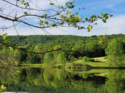 Ste. Genevieve County - Photo 5