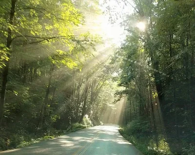 Powell County - Photo 2